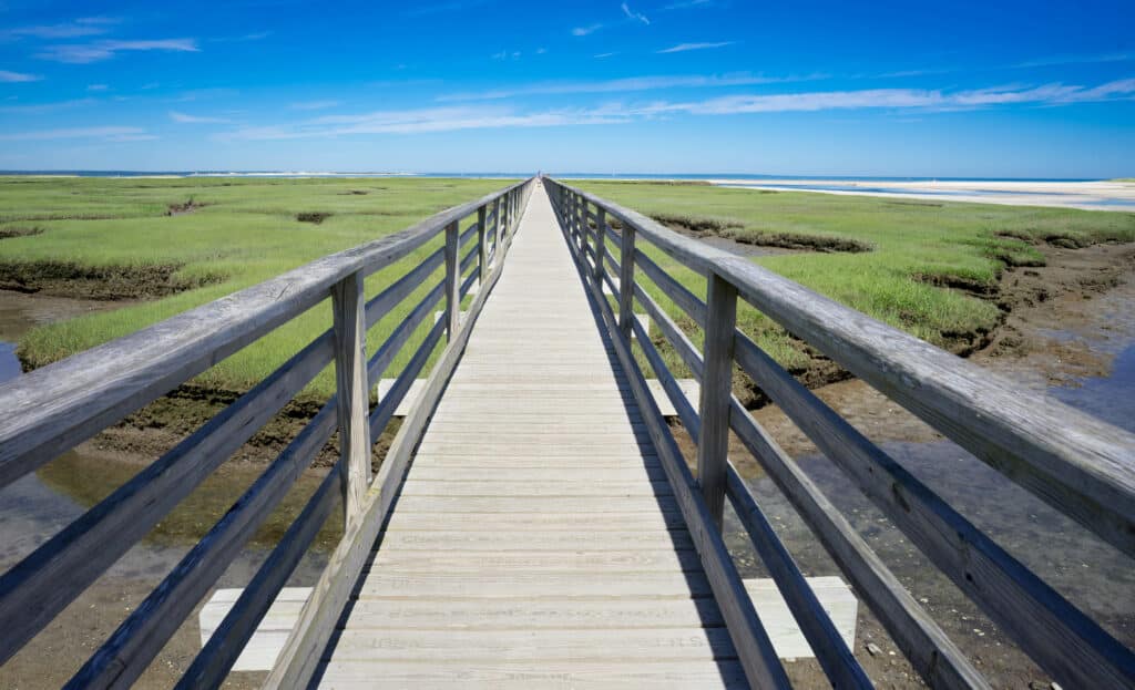 A wooden boardwalk leads over green marshland toward the ocean under a clear blue sky.
