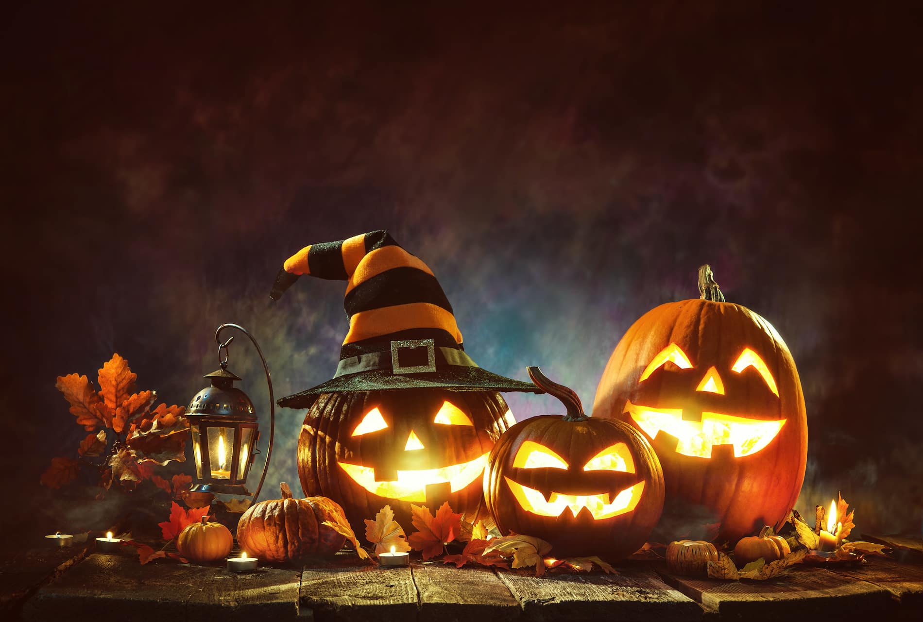 A group of carved pumpkins with playful faces, illuminated from within, surrounded by autumn leaves and a lantern.