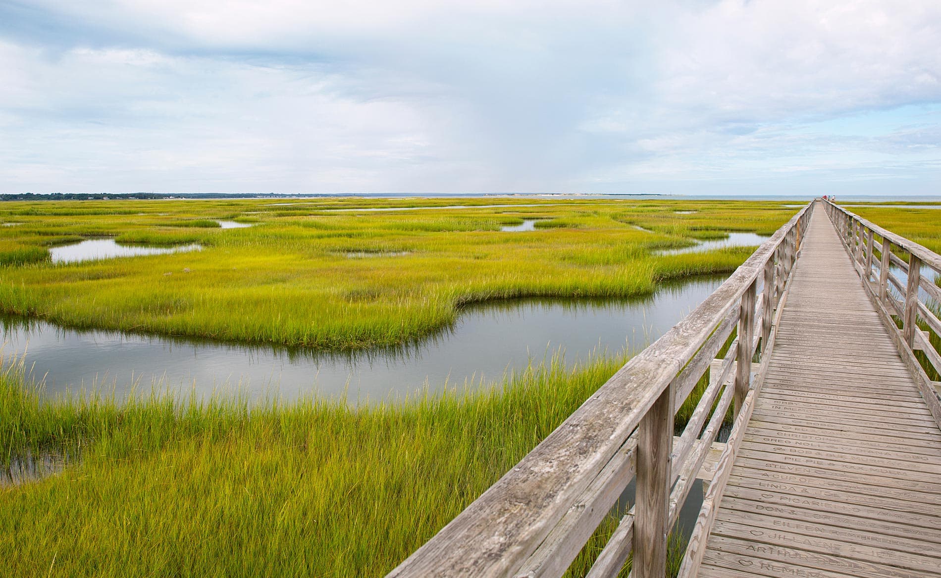 A wooden boardwalk leads through lush green marshland under a cloudy sky. A wooden boardwalk leads through lush green marshland under a cloudy sky.