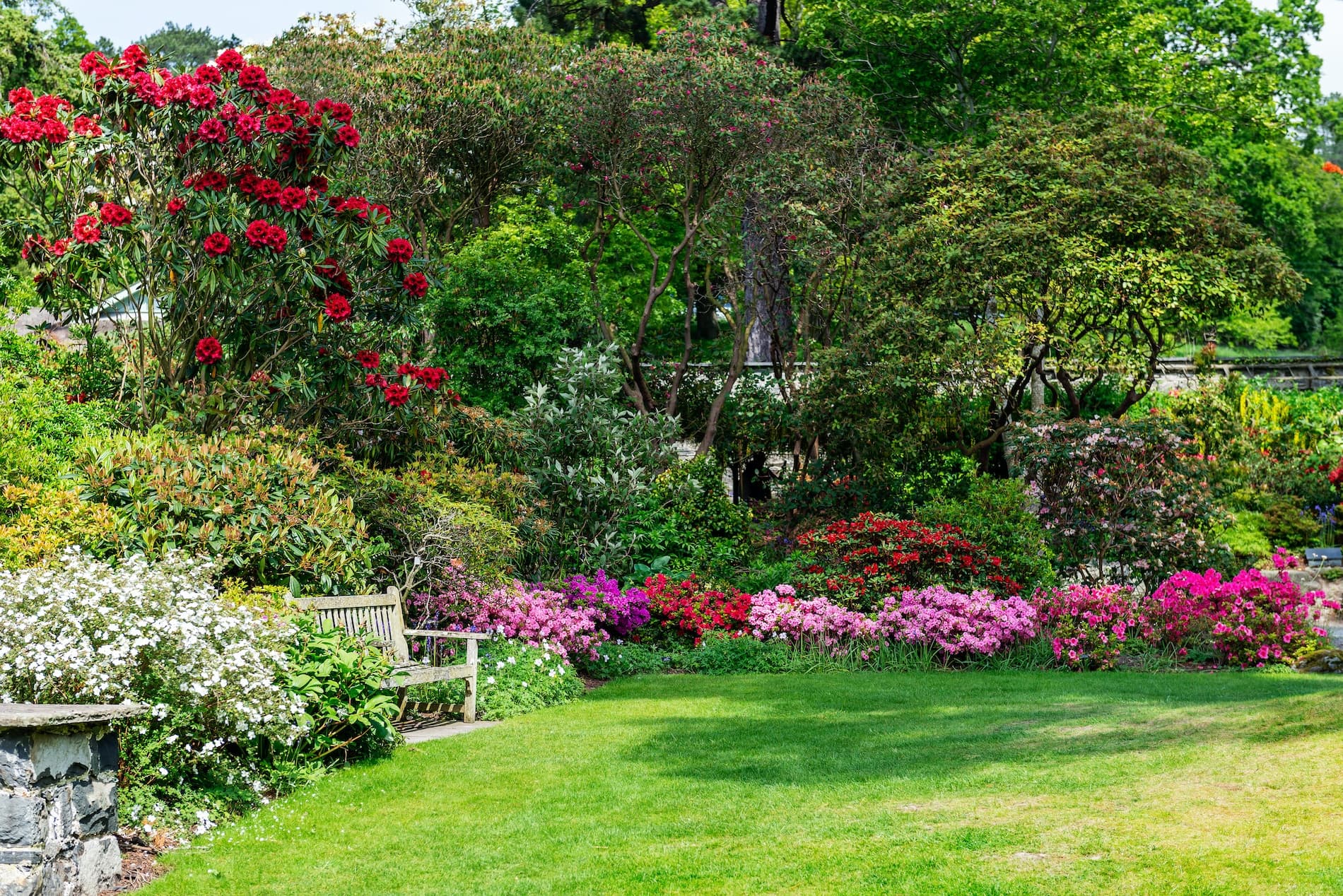 A vibrant garden filled with colorful flowers and a wooden bench under lush greenery.