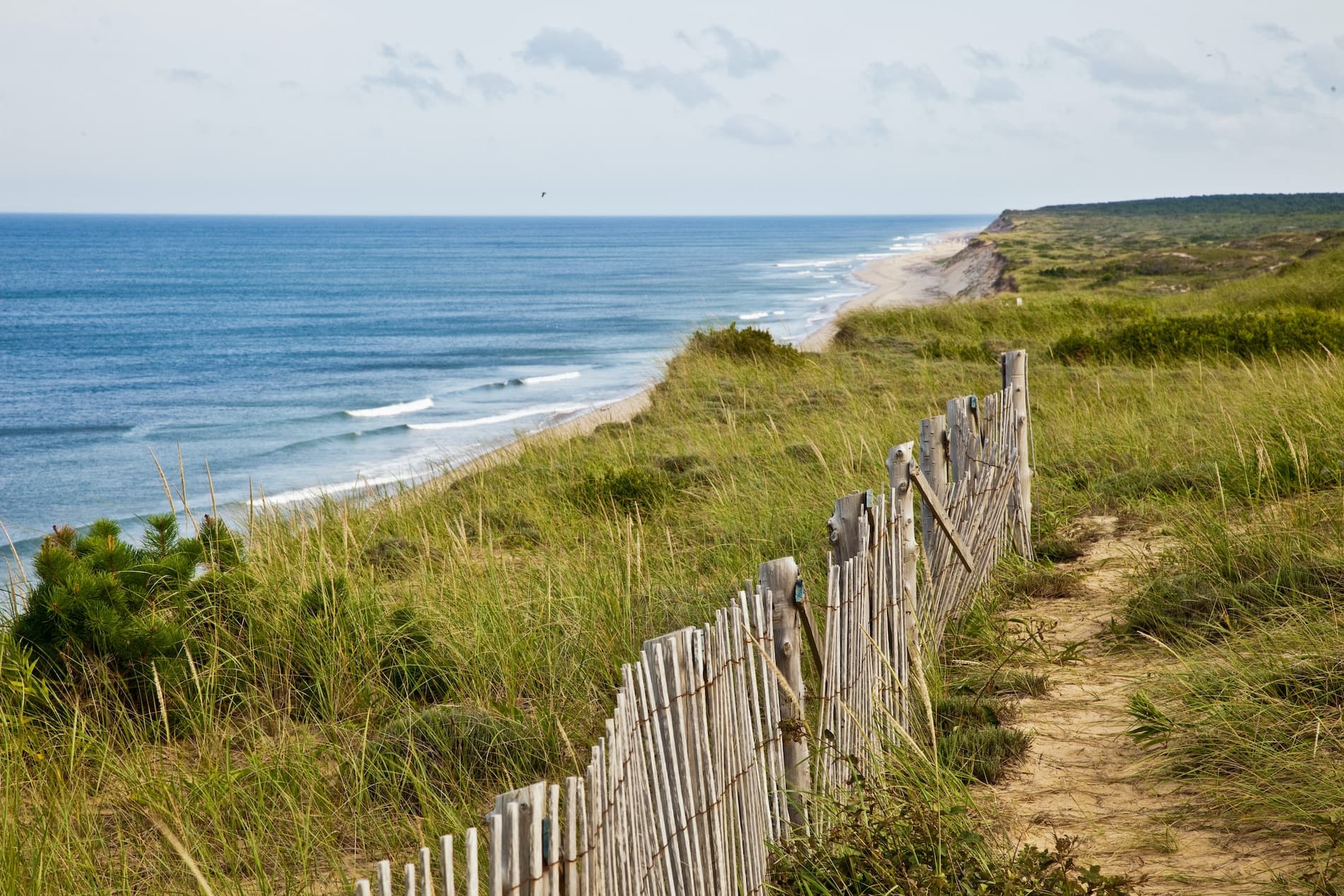 A sandy beach with gentle waves and a wooden fence covered in tall grass.