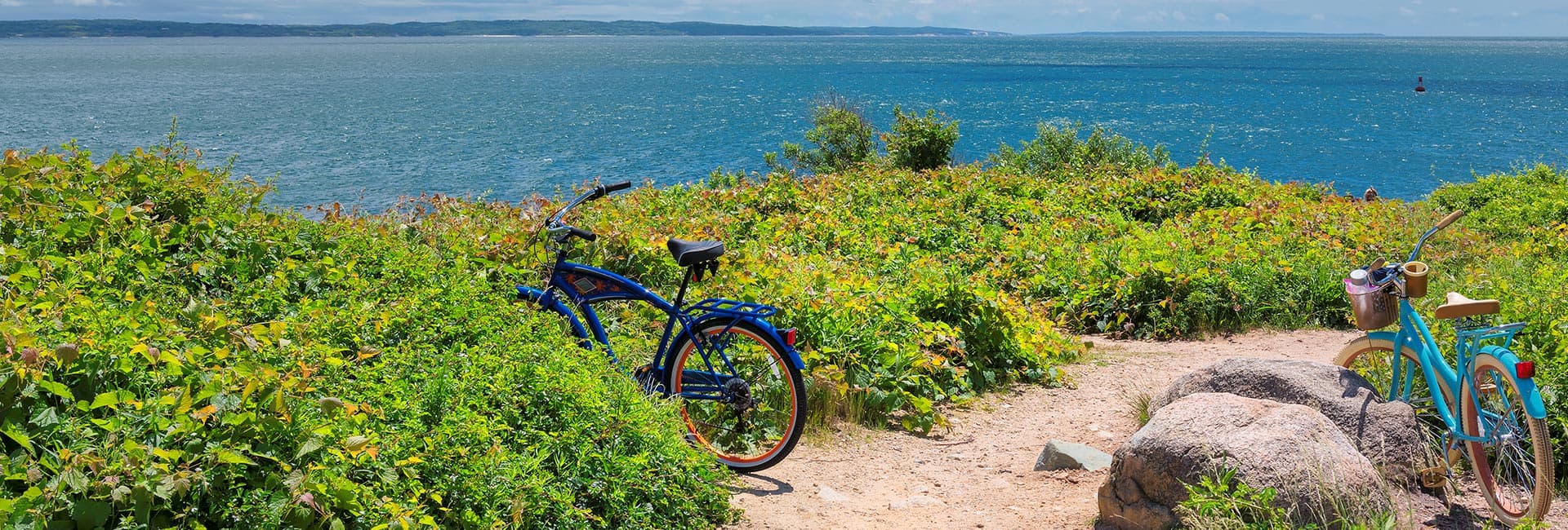 Two bicycles are parked beside a lush path overlooking a shimmering ocean.