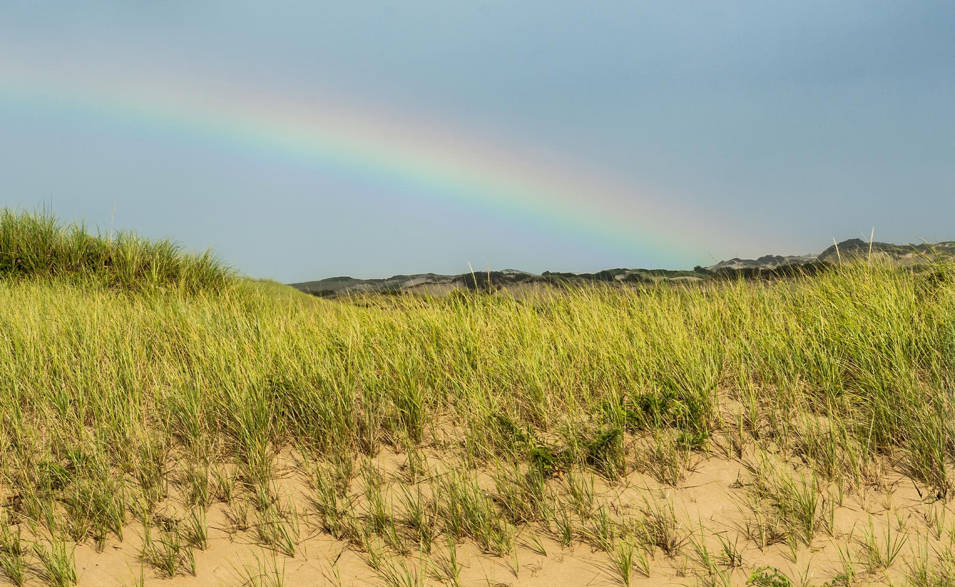 A rainbow arches over a grassy dune landscape.