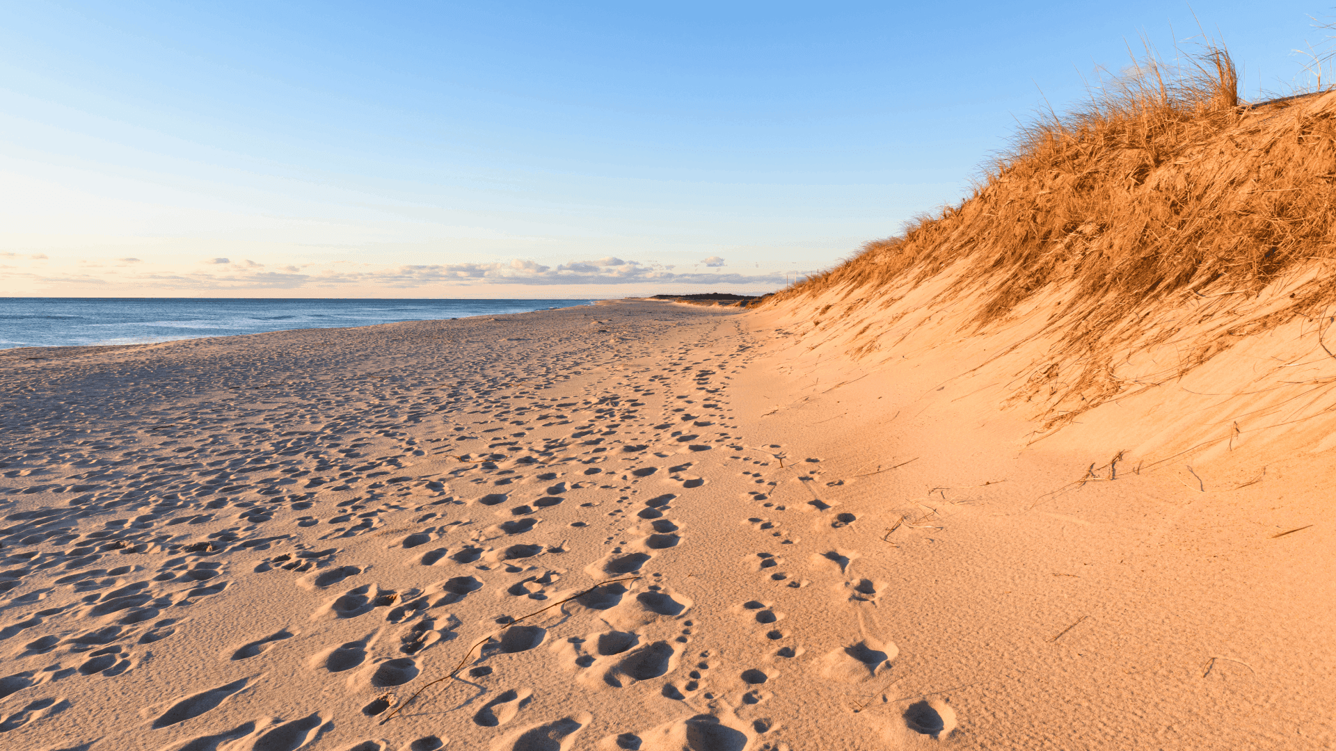 A sandy beach with gentle dunes and footprints leading toward a calm sea under a clear sky.