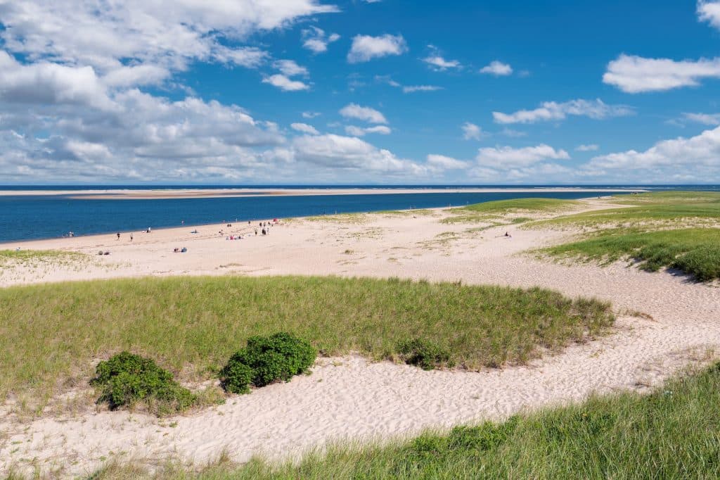 A sandy beach with people in the distance, framed by green grass and a blue sky with fluffy clouds.