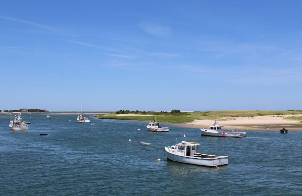 Chatham Fish Pier 