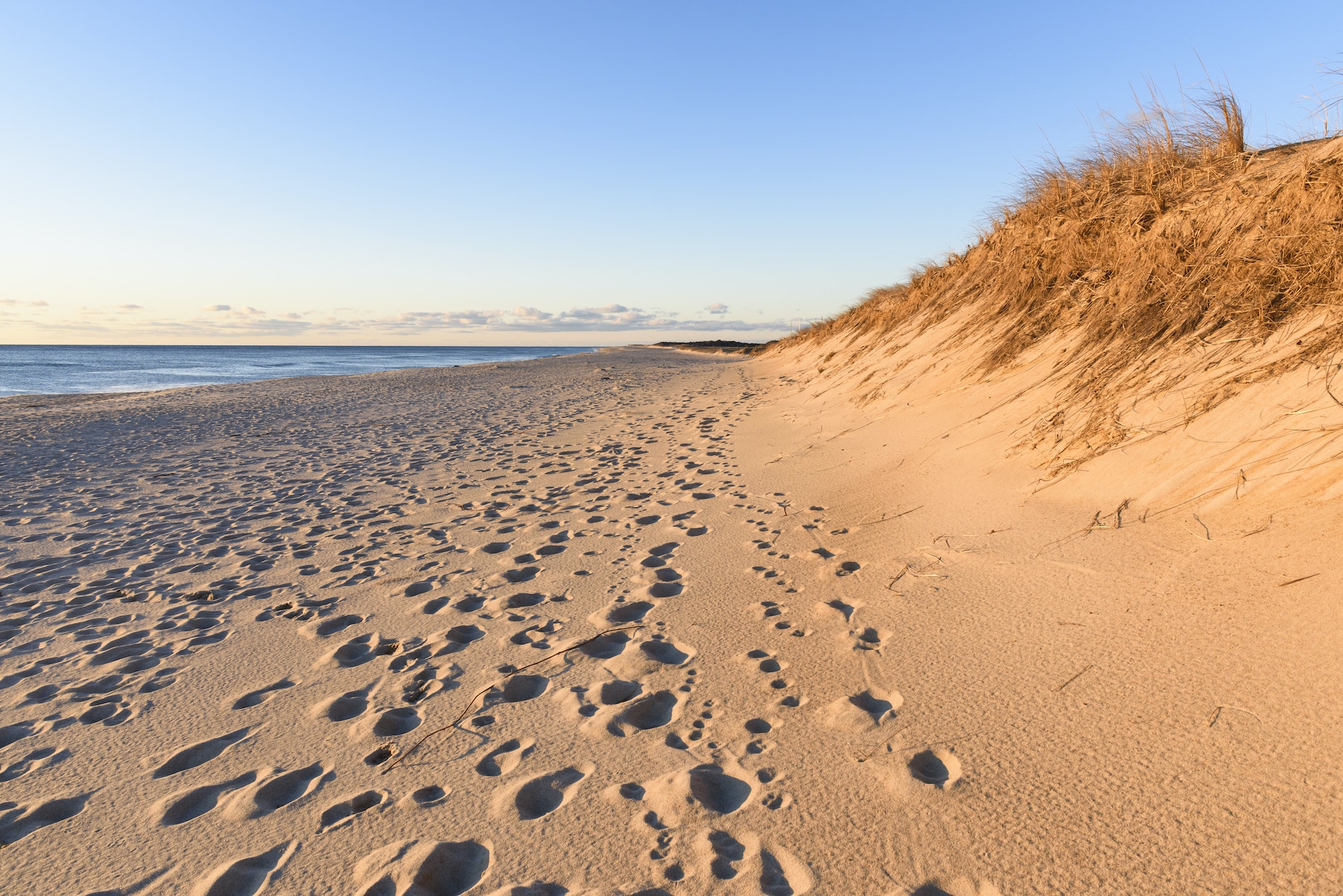 Your 5Day Itinerary to Labor Day Weekend on Cape Cod