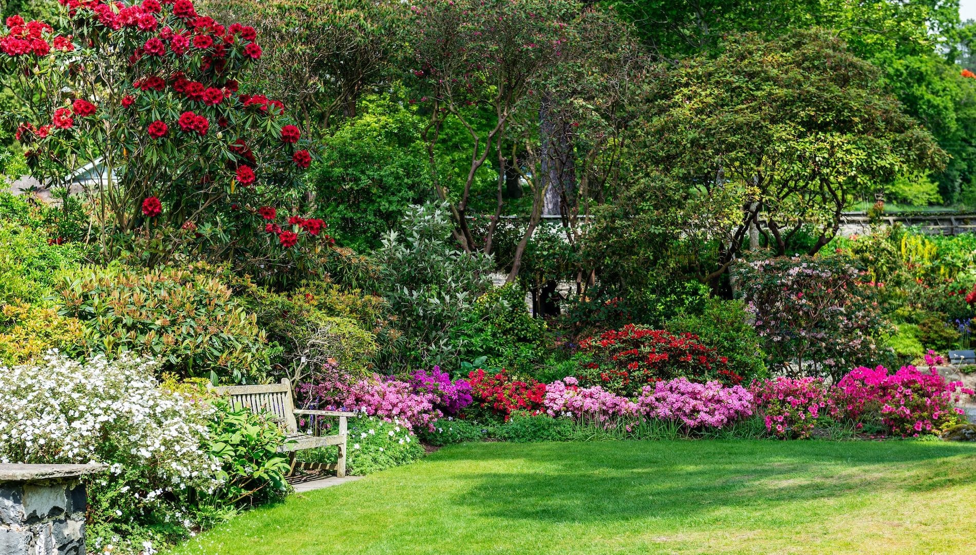 Beautiful Garden with blooming trees during spring time