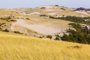 The dunes in "The Provincelands" at Cape Cod National Seashore in Provincetown, Massachusetts.