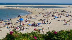 Crowded Beach at Chatham, Cape Cod