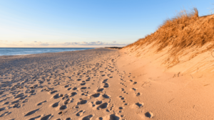 Pretty beach in the fall showing a little bit of ocean, human steps, and brown grass