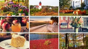 A Series of fall pictures in a collage showing cranberry bog, lighthouse, pumpkin bread, apple cider and fall scenery 