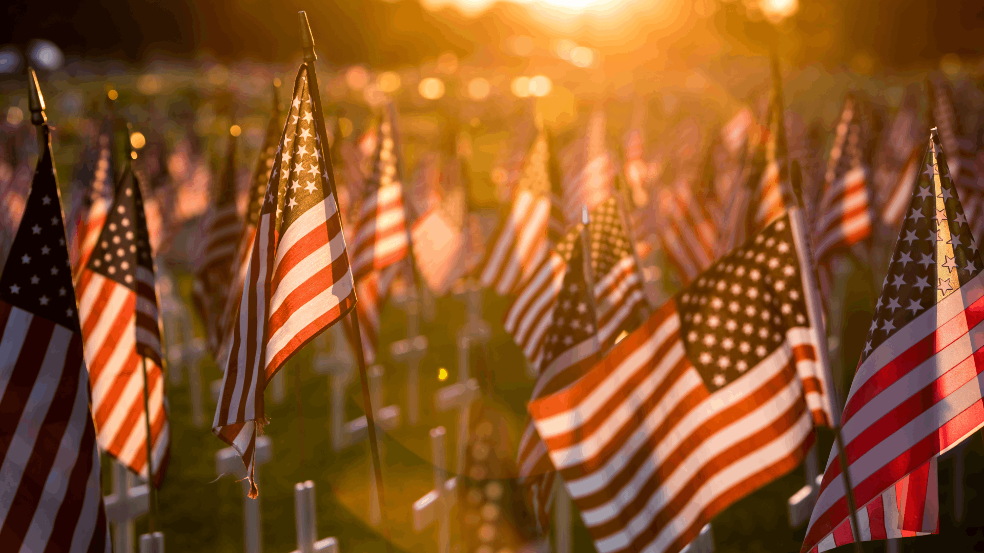 American Flags in a graveyard