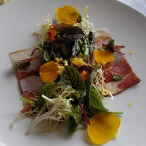Elegant salad with colorful varied greens, yellow petals, and prosciutto on a white plate