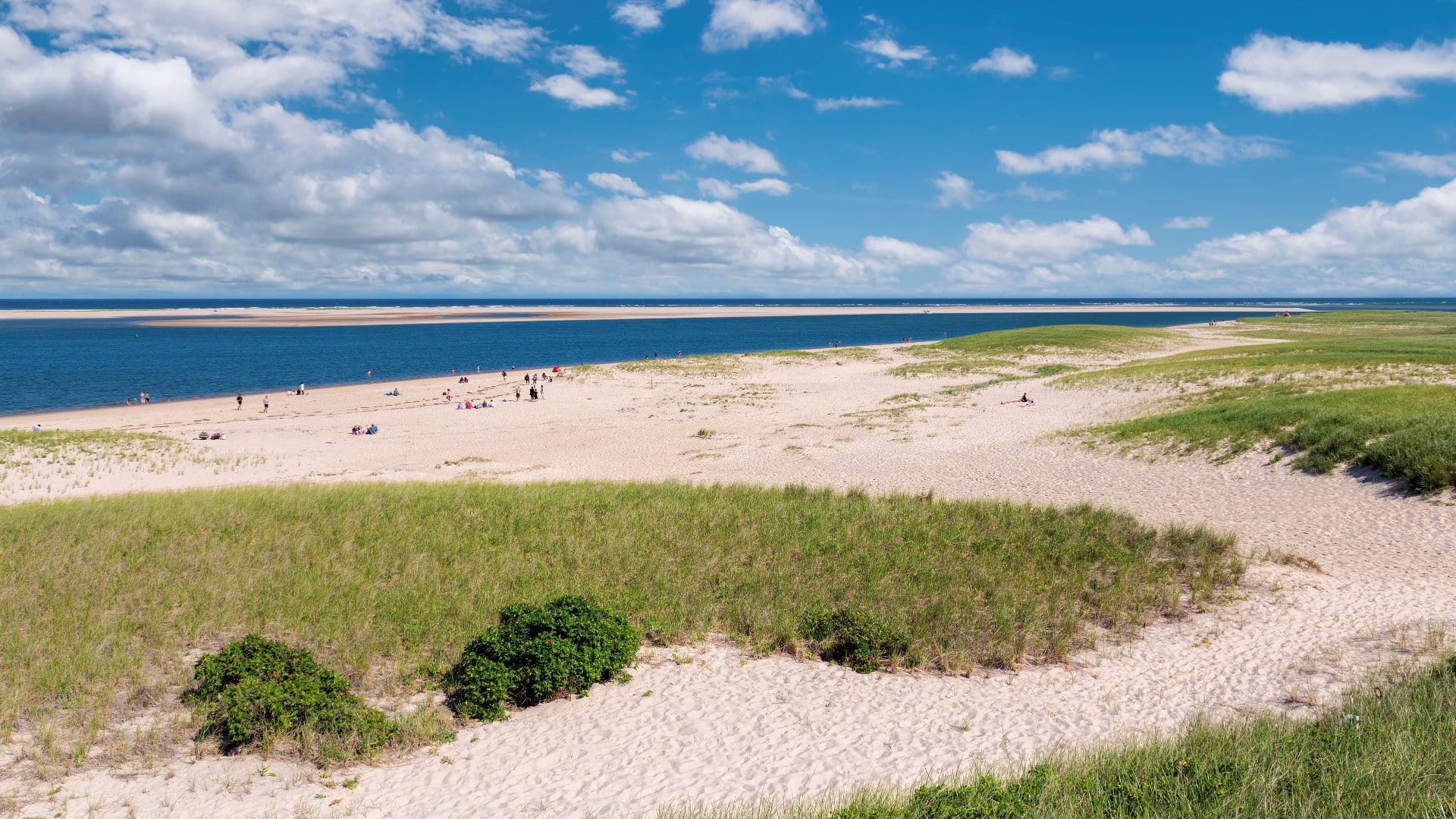 Wide and long sandy beach with grass dunes and blue skies