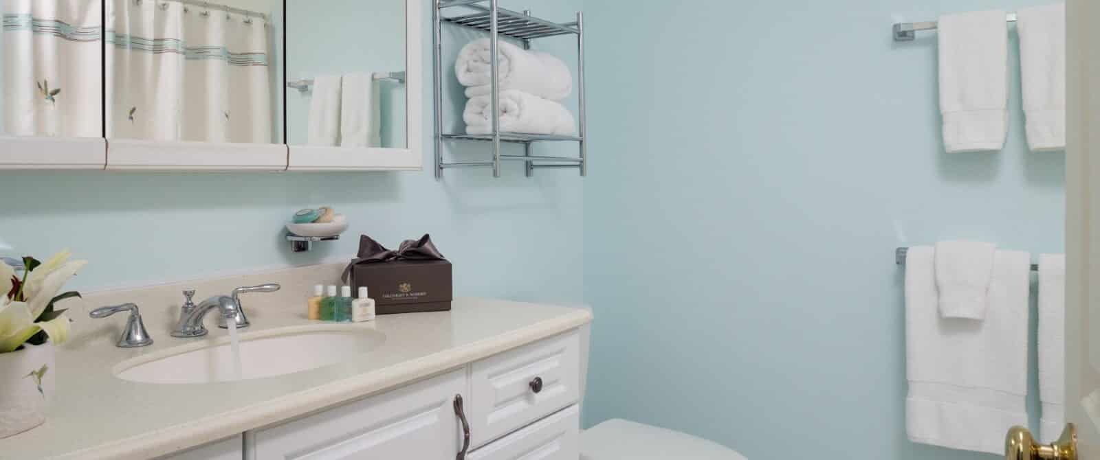Bathroom with single sink, pale blue walls, white hanging and rolled towels and large framed mirror