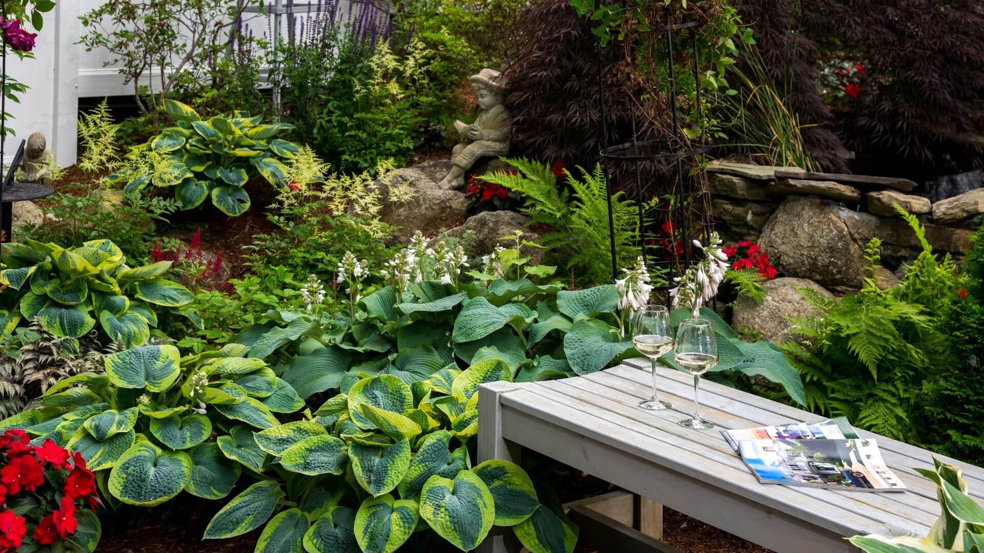 Backyard pond with hostas and rocks and sitting bench with wine glasses and open magazine
