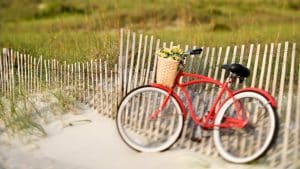 Red with with a basket on a beach