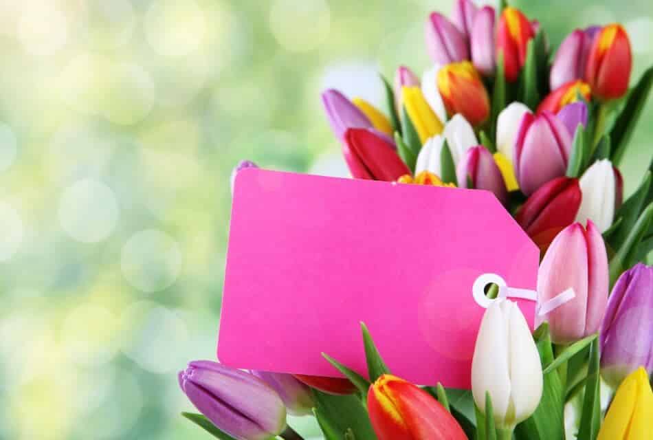 Multi-colored tulips with a pink tag tucked in the middle